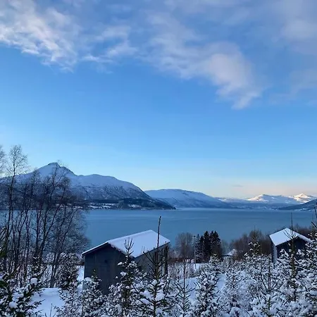 Arctic Sky Sanctuary