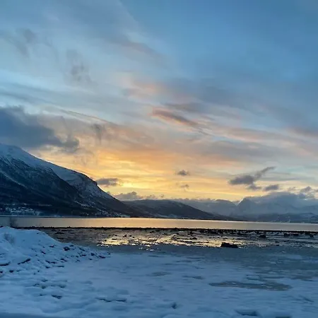 Arctic Sky Sanctuary Apartament